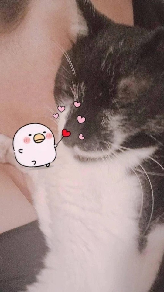 明日　出勤します😊｜写メ日記｜みはね｜池袋 人妻デリヘル 熟女の風俗最終章池袋店