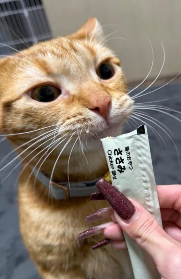 本日早退させていただきました。｜写メ日記｜LEMON｜新宿 一般デリヘル GINGIRA☆TOKYO～ギンギラ東京～