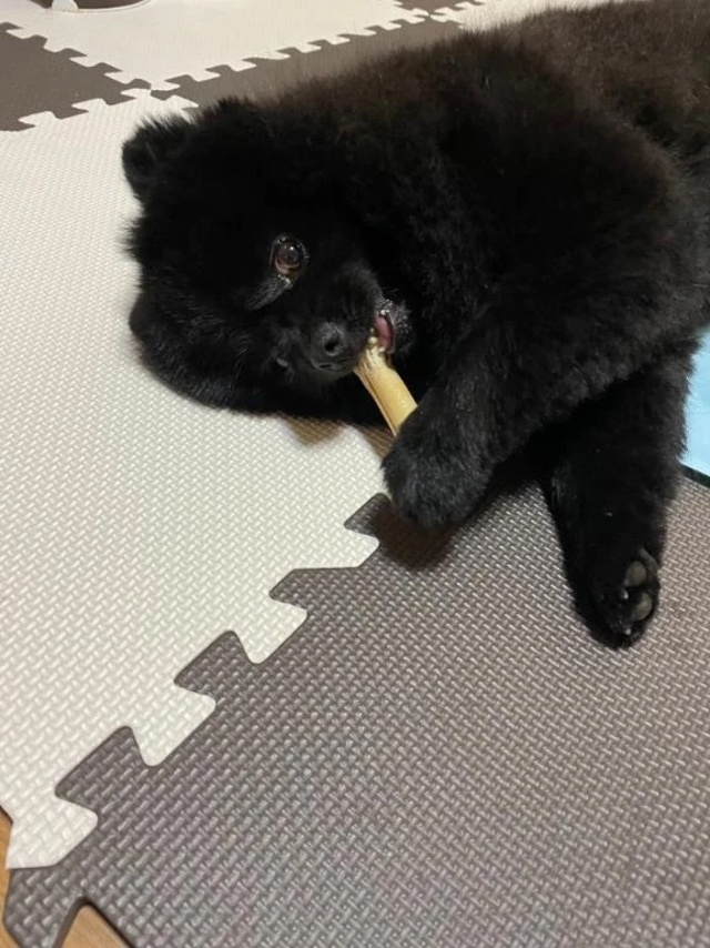 🧡𝒕𝒉𝒂𝒏𝒌 𝒚𝒐𝒖🧡