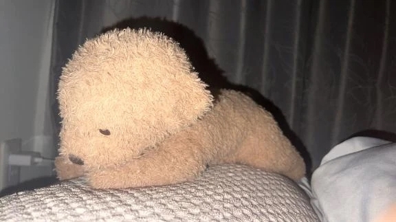 😭｜写メ日記｜CONAN｜新宿 一般デリヘル GINGIRA☆TOKYO～ギンギラ東京～