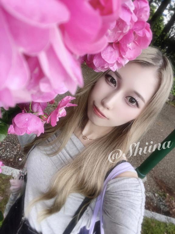 ばらばらにちらばる🥀｜写メ日記｜SHIINA｜新宿 一般デリヘル GINGIRA☆TOKYO～ギンギラ東京～
