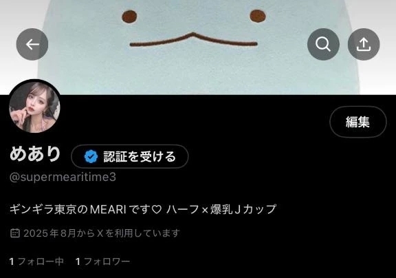 もうやらないからねー