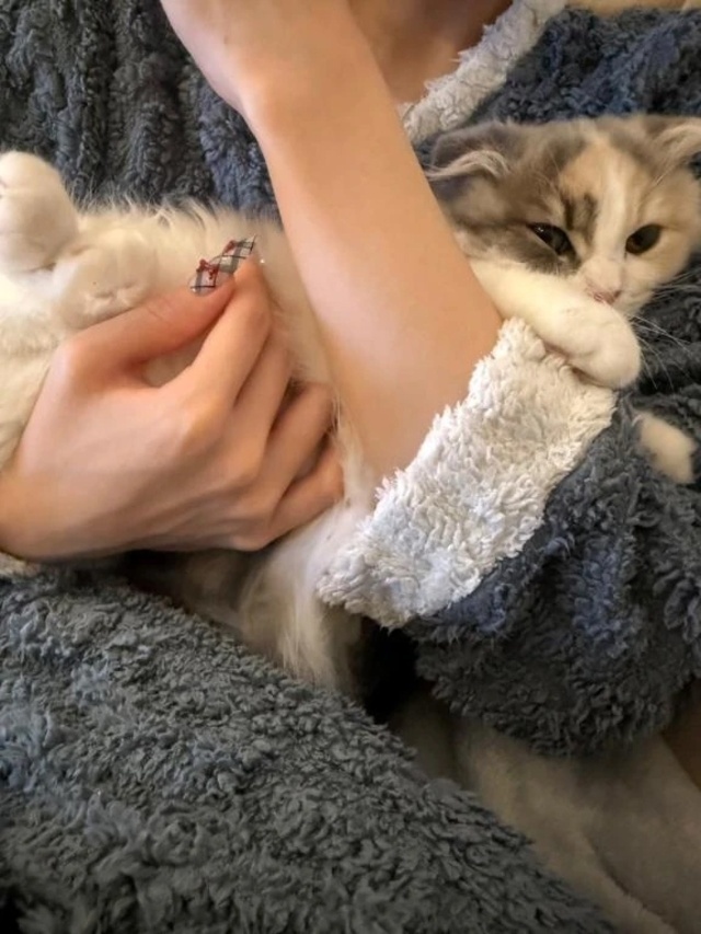 最近してないからよろ🥹✌️｜写メ日記｜WINK｜新宿 一般デリヘル GINGIRA☆TOKYO～ギンギラ東京～