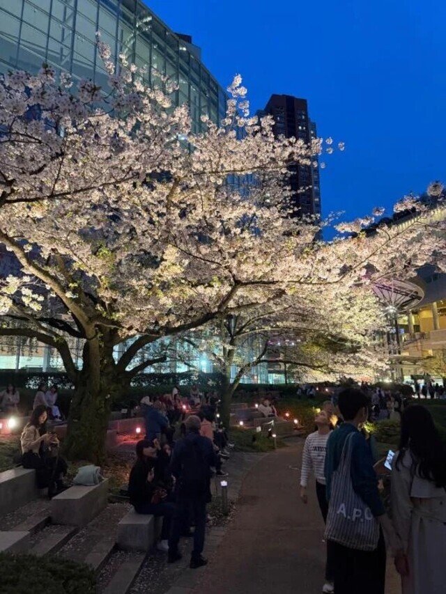 いる❣️｜写メ日記｜WINK｜新宿 一般デリヘル GINGIRA☆TOKYO～ギンギラ東京～
