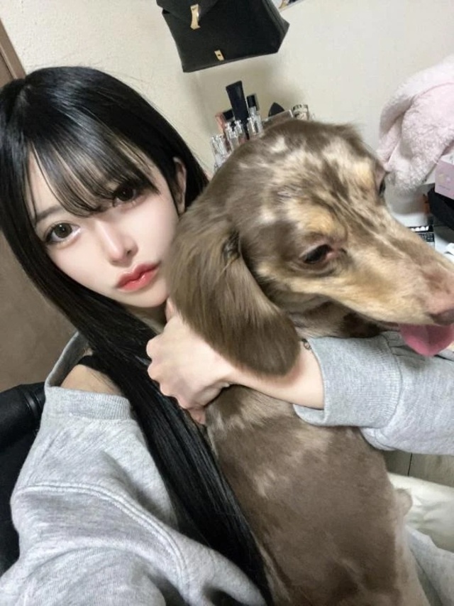 トリミング後🐶💖💖