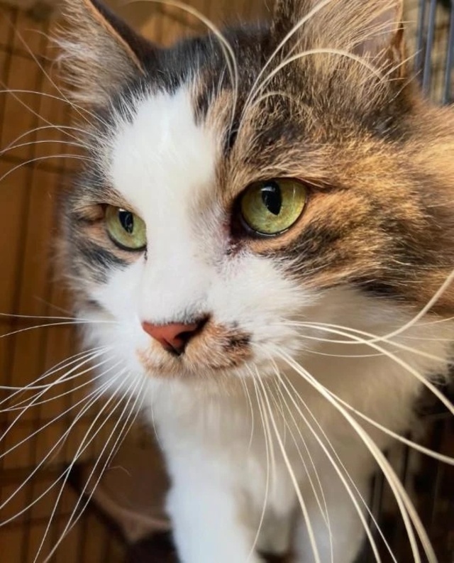 キビシイセカイ🌏