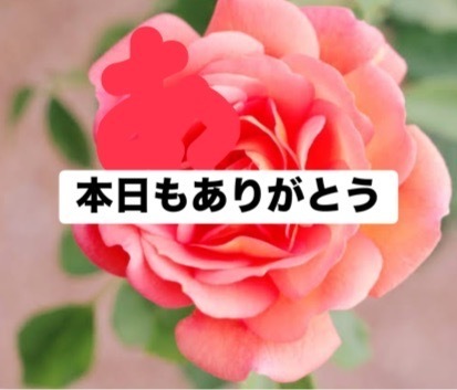 本日もありがとう｜写メ日記｜愛沢｜鶯谷 一般デリヘル 鶯谷セールスレディ