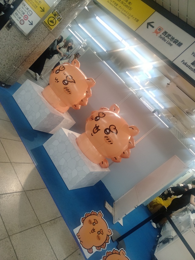 ちいかわ🐱🐱