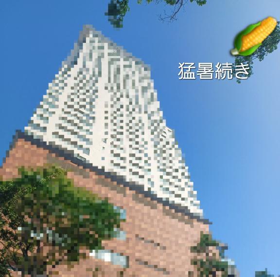 れいです。