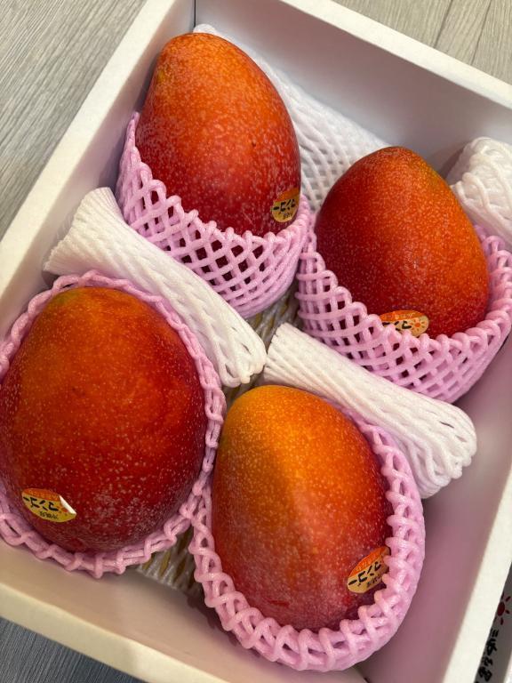 出勤しました！