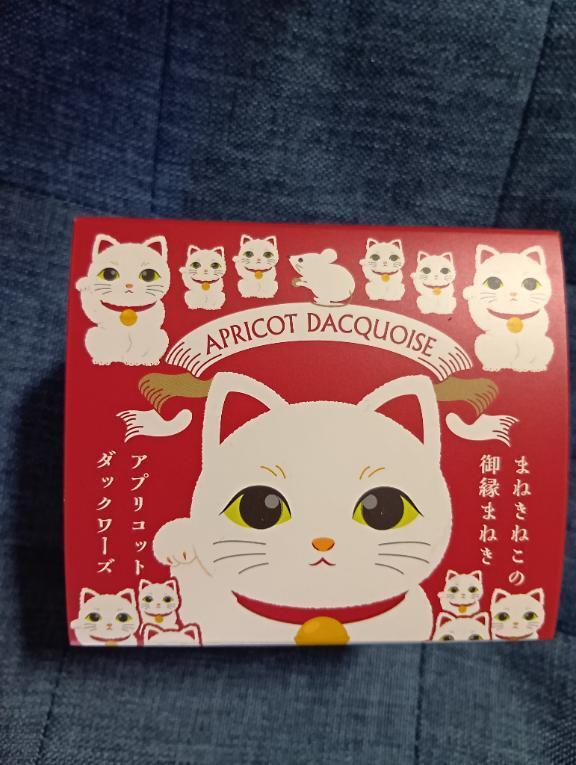 先週木曜日のお礼