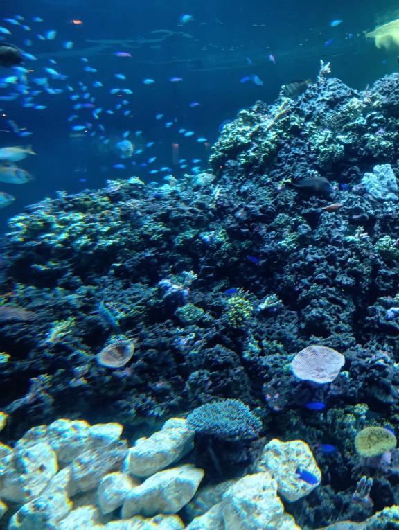 先週水曜日のお礼｜写メ日記｜まなみ｜鶯谷 一般デリヘル 妊婦・母乳・人妻 アクトレス