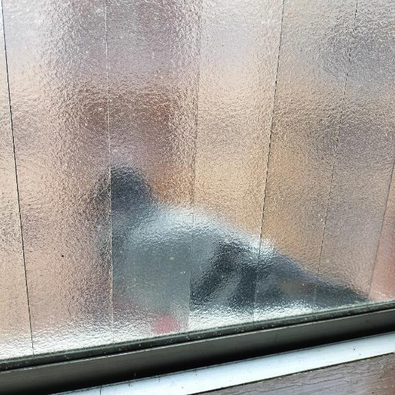 モザイク処理