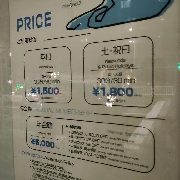 行ってみる？