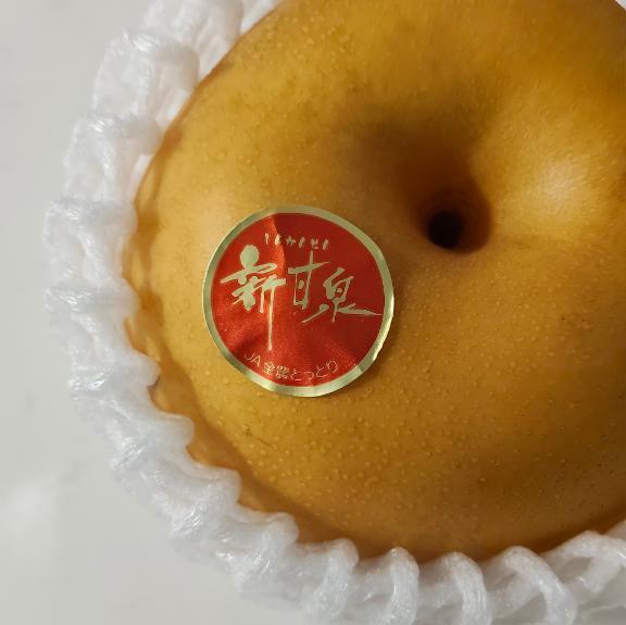 任務完了