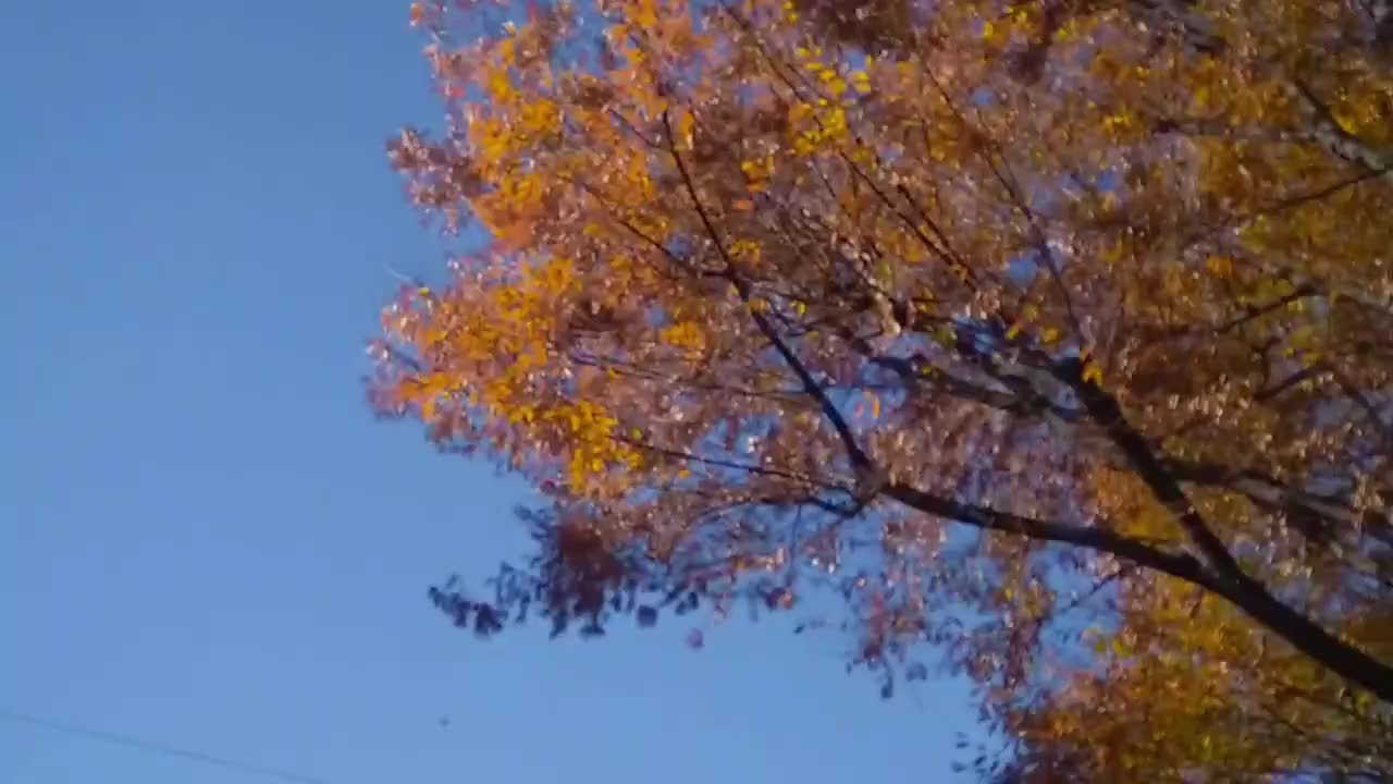 下におっぱいあるよ💗｜写メ日記｜なみ｜池袋 人妻デリヘル 奥様特急　池袋・大塚店