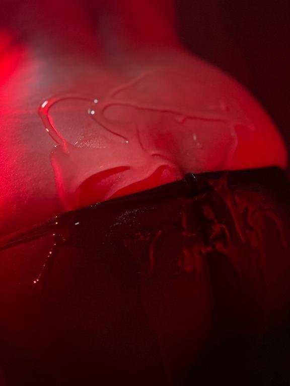 おしり派の人♡♡｜写メ日記｜はな｜池袋 人妻デリヘル 奥様特急　池袋・大塚店