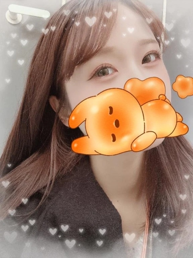 🌷今週のシフトです🌷