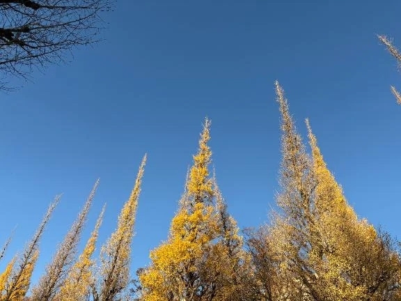 お礼とか｜写メ日記｜あゆか｜新宿 出張エステ 東京アロマスタイル