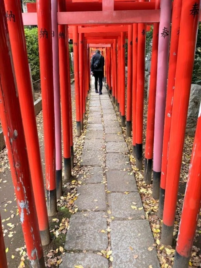 Kさん｜写メ日記｜ここな｜新宿 出張エステ 東京アロマスタイル