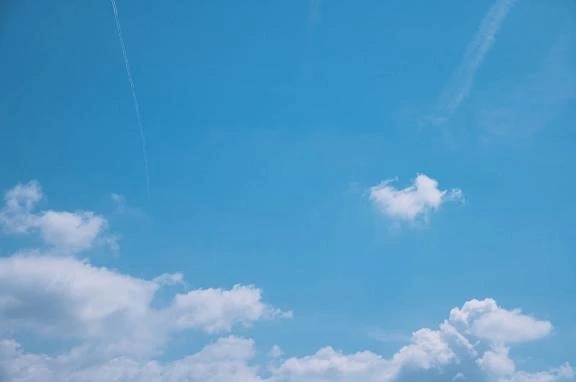 本日ALL🈳｜写メ日記｜かなみ｜新宿 出張エステ 東京アロマスタイル