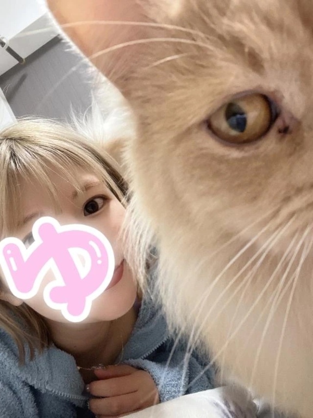 私より前にくるねこ🐱｜写メ日記｜ゆかり｜新宿 出張エステ 東京アロマスタイル