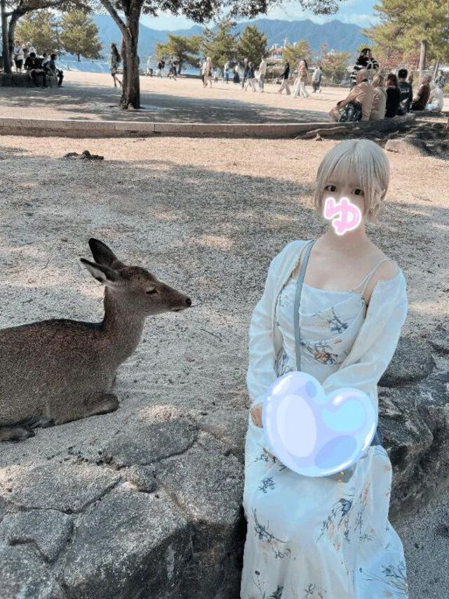 戯れ🦌