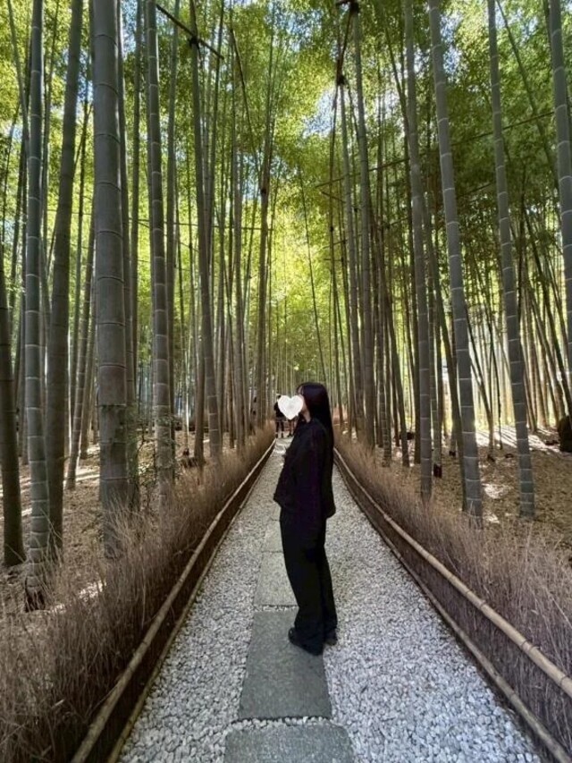 お休み満喫🌿｜写メ日記｜うみ｜新宿 出張エステ 東京アロマスタイル