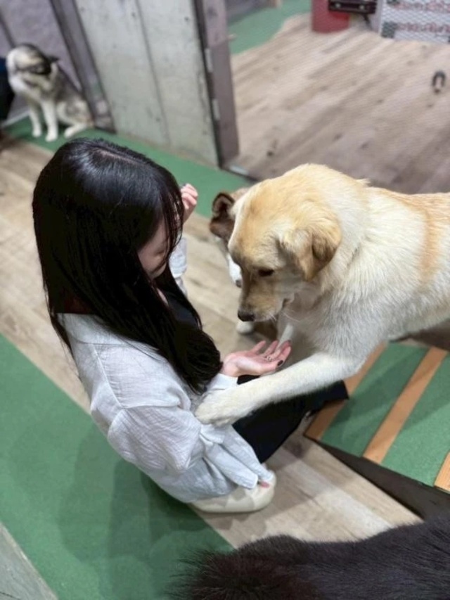 残り3日🐾｜写メ日記｜うみ｜新宿 出張エステ 東京アロマスタイル