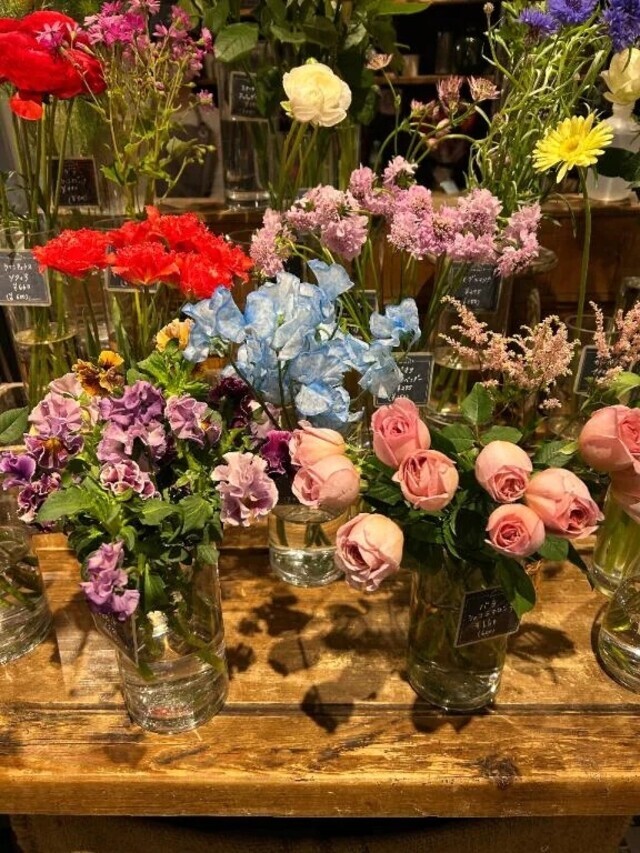 🗓️｜写メ日記｜さき｜新宿 出張エステ 東京アロマスタイル