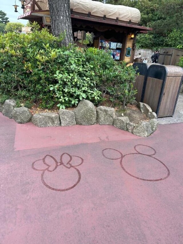 お久しぶりです😸🎶|写メ日記|さき|新宿 出張エステ 東京アロマスタイル