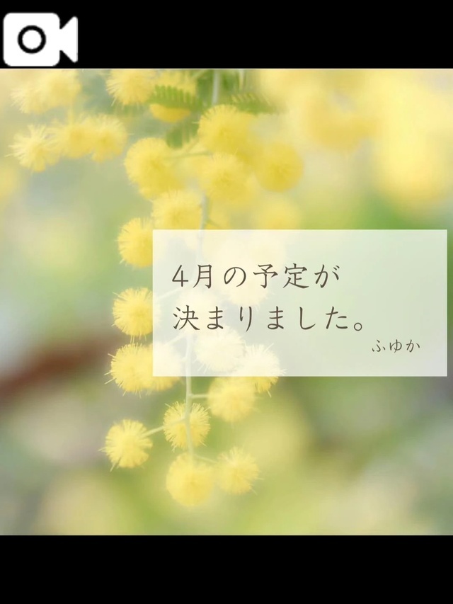 4月、確定しました❄︎