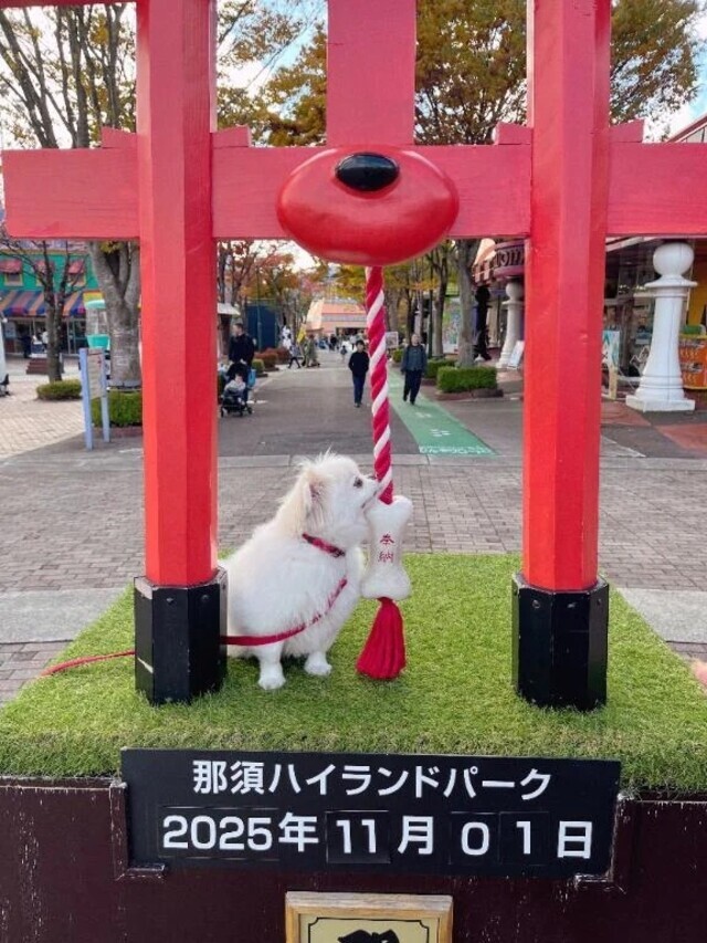 旅行中🚗³₃｜写メ日記｜もゆり｜新宿 出張エステ 東京アロマスタイル