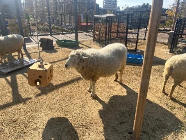 あと少し⚠️｜写メ日記｜まひろ｜新宿 出張エステ 東京アロマスタイル