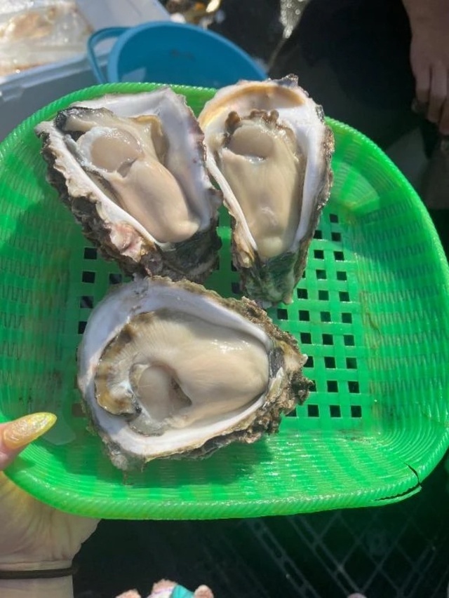 どろどろに溶けあって|写メ日記|まひろ|新宿 出張エステ 東京アロマスタイル