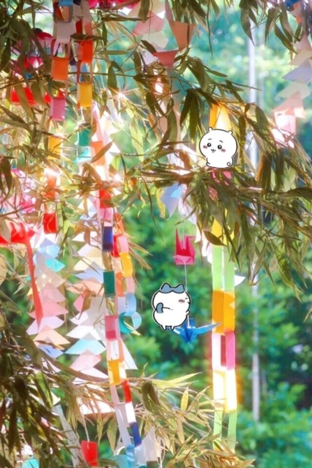 7/8お礼日記💛🪽