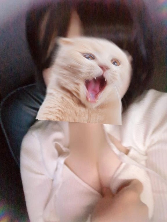 出勤(๑˃̵ᴗ˂̵)و ﾖｼ!｜写メ日記｜しーな｜上野・浅草・秋葉原 一般デリヘル サンキュー上野店