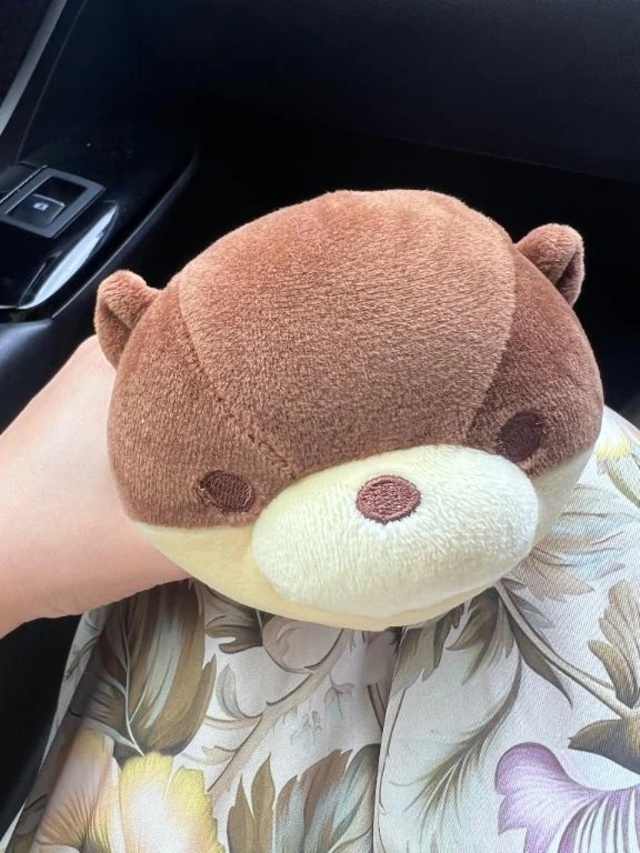 11/5本指名M Y様へ｜写メ日記｜美音｜渋谷 高級デリヘル Anemone渋谷店