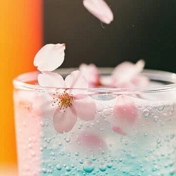 初めまして😊｜写メ日記｜このみ｜渋谷 高級デリヘル Anemone渋谷店