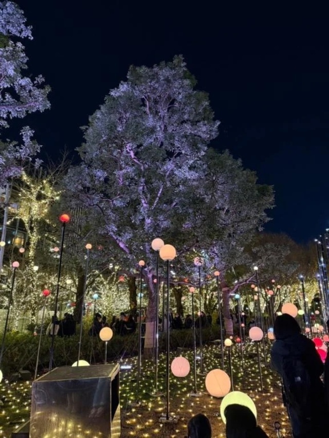 次回出勤のお知らせ📢｜写メ日記｜いろは｜渋谷 高級デリヘル Anemone渋谷店