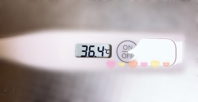 本日の検温🌡️