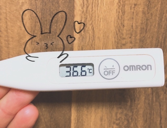 本日の検温🌡️