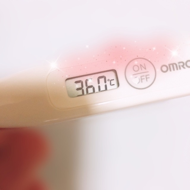 本日の検温🌡️