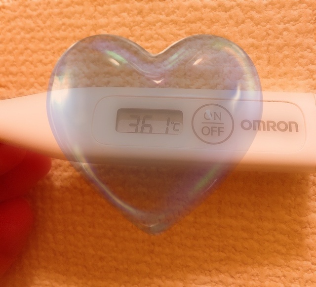 本日の検温🌡️