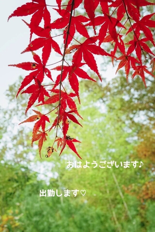 出勤♡｜写メ日記｜ドＭ★美和｜立川・八王子・三多摩 出張SM マニアック女人館