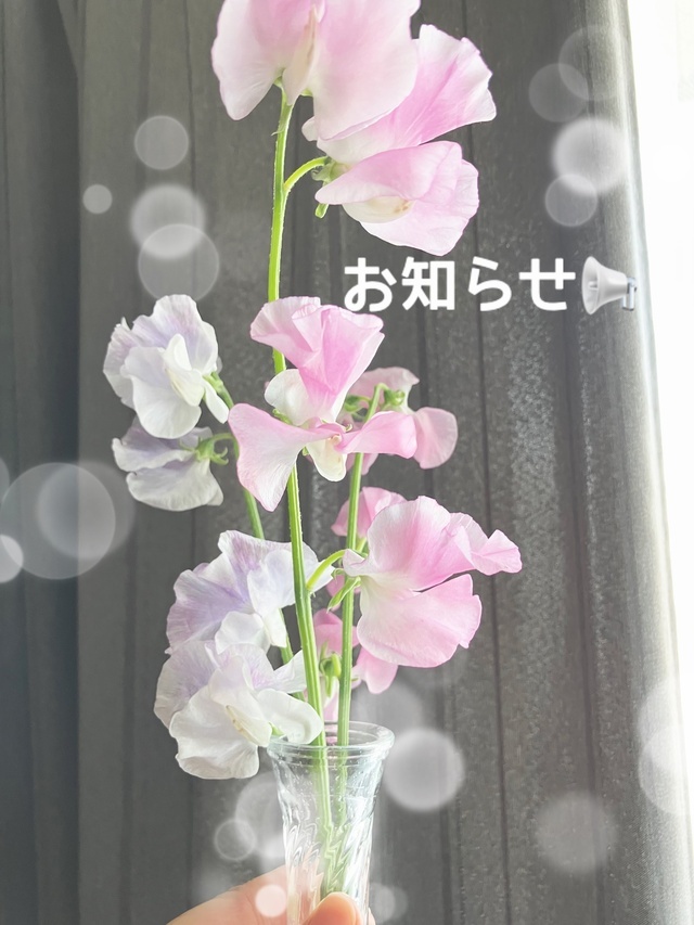 21(火)急遽出勤♡|写メ日記|ドM★美和|立川・八王子・三多摩 出張SM マニアック女人館