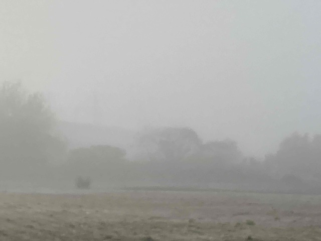 朝霧💧｜写メ日記｜ドＭ★彩花｜立川・八王子・三多摩 出張SM マニアック女人館