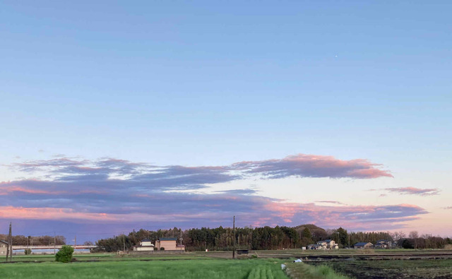 出勤です♪｜写メ日記｜ドＭ★彩花｜立川・八王子・三多摩 出張SM マニアック女人館