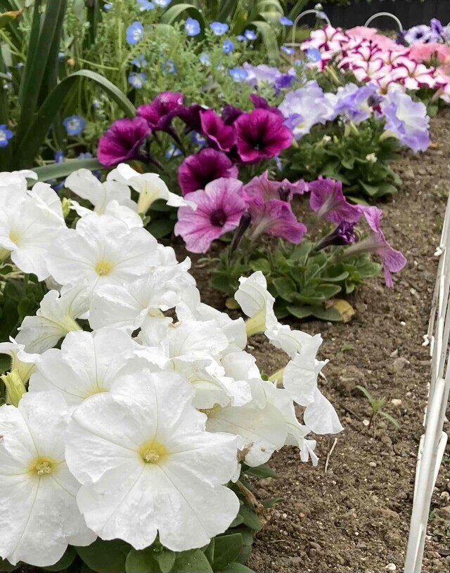 衣替え👕｜写メ日記｜ドＭ★彩花｜立川・八王子・三多摩 出張SM マニアック女人館