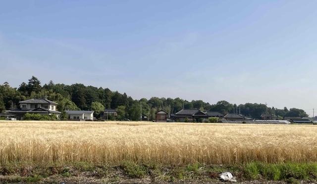 近所の風景✨｜写メ日記｜ドＭ★彩花｜立川・八王子・三多摩 出張SM マニアック女人館